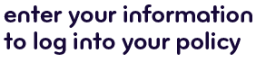 Enter your information to log into your policy