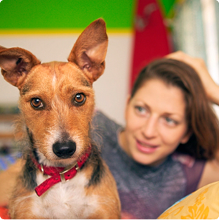Pet insurance from Esurance Pet insurance from Esurance