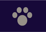 Pet insurance