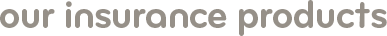 Our insurance products